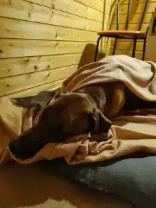 Владимирский Хуторок - 95