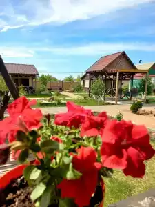 Релакс в Новом - 19