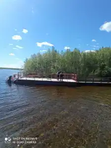 Лесная - 49
