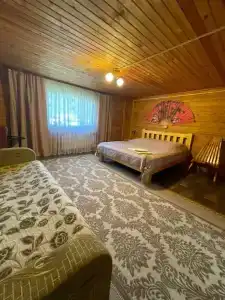 Усадьба у Гришаевых - 30