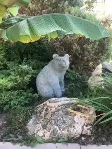 Виктория - 16