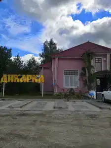 Дикарка - 38