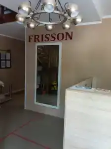 Фриссон - 9