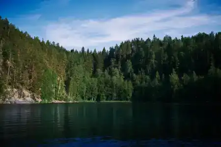 Карелия Парк - 58