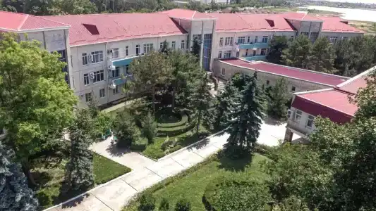Рябинка - 46