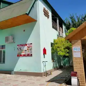 Эдельвейс - 18