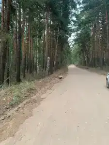 Олимпия - 17