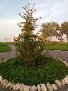 Берег - 3