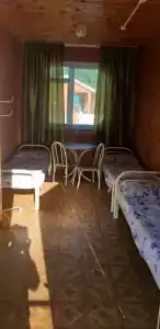 Партан - 25