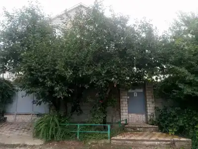 Виктория - 1