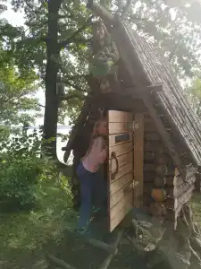 Хвойный бор - 46