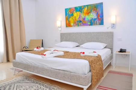 Bougainvillier Djerba - 21