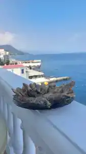 Санта-Барбара - 36