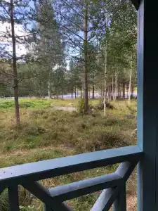 Сегежа Парк - 74
