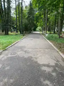 Воробьево - 49
