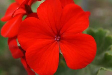 Likya Adrasan Otel - 44