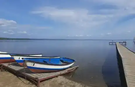 Берёзка - 17