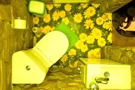 Ленивый Дельфин - 54