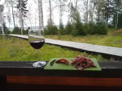 Самая Ладога - 86