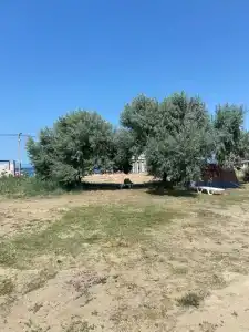 Времена Года - 6