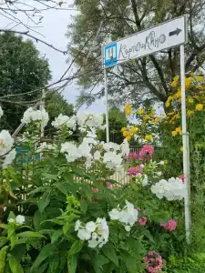 КартошКино - 12