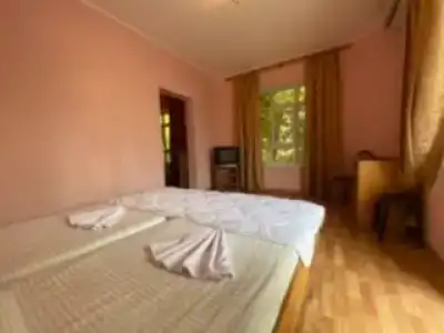 management sochi - 3