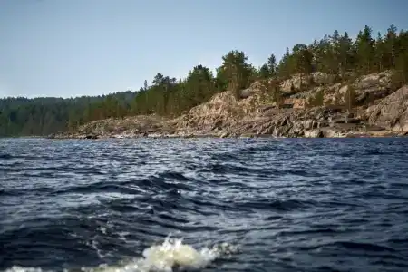 Карелия Парк - 57