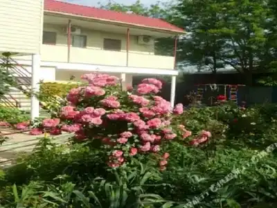 Маргарита - 13