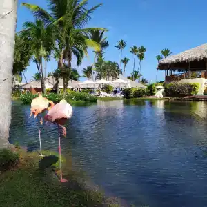 Natura Park Beach & Spa Eco - All Inclusive - 19