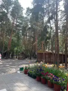 Олимпия - 22