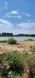 Лес и Рыба - 64