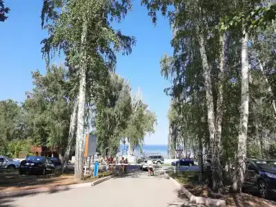 Берёзка - 6
