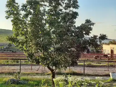 Страусиная ферма Экзотик - 25