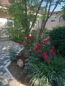 Солнышко - 30