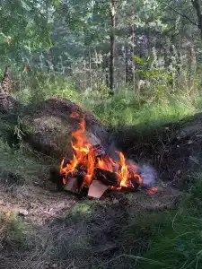 Сегежа Парк - 80