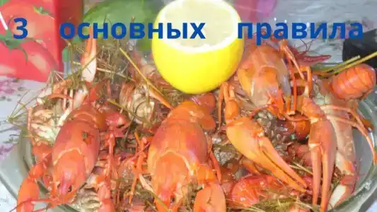 Селигерский хуторок - 35