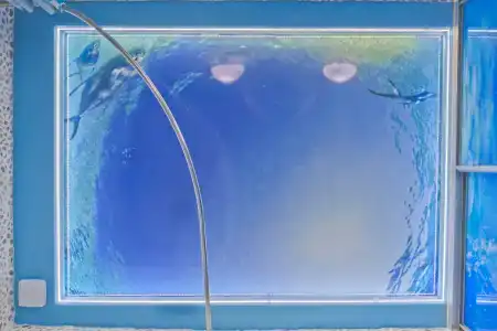 Ленивый Дельфин - 48