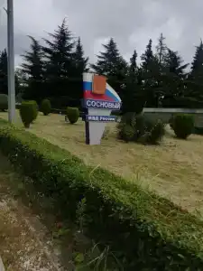 Сосновый - 15