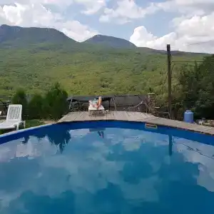 Лесной кордон - 67