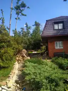 Лесная сказка - 25