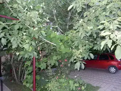 У Вадима - 30