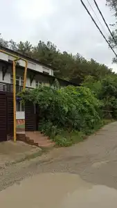 The Home - 18