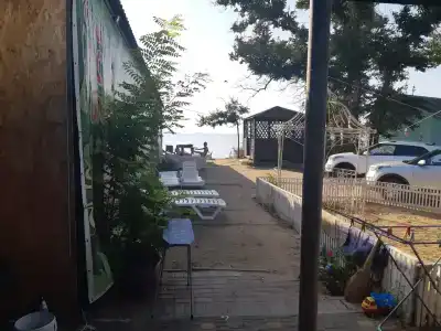 Жемчужный - 96