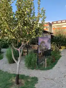 Белый Лев - 31