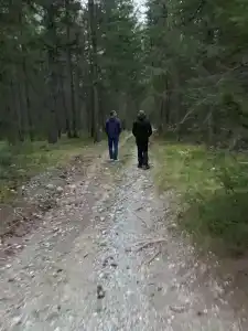 Аркада - 45