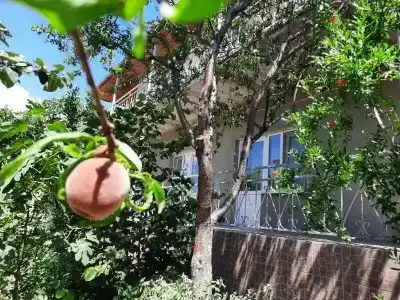 Артлер - 2