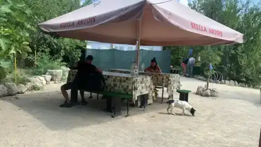 Гурзуф Палатка - 21