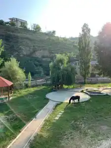 Орлиное гнездо - 43