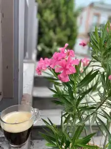 Казантипская хижина - 63