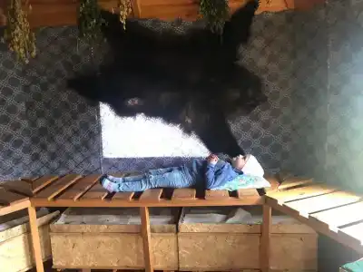 Пасека 13 - 40